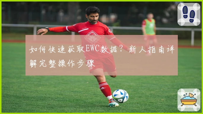 如何快速获取EWC数据？新人指南详解完整操作步骤